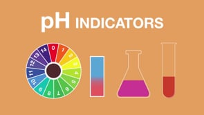 Indicators Chemistry for All The Fuse School