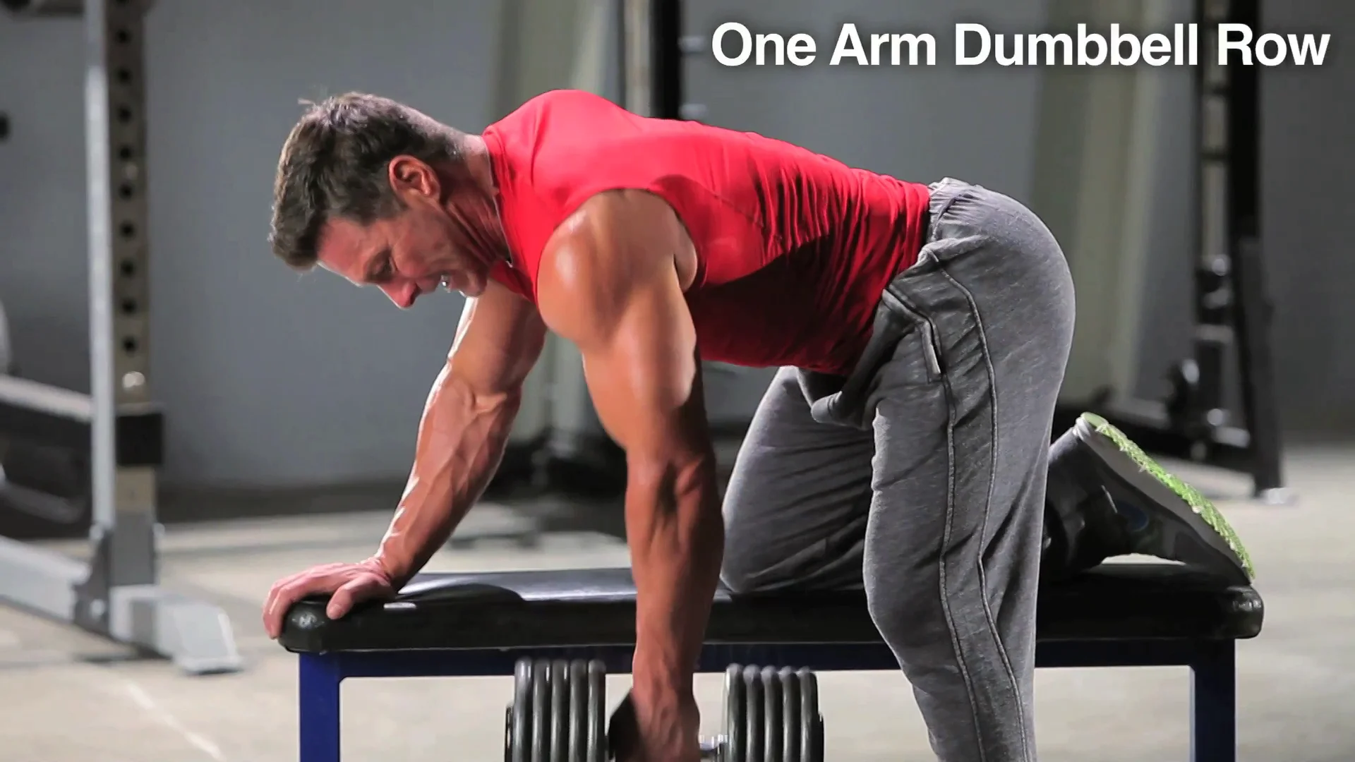 Single arm db row hot sale