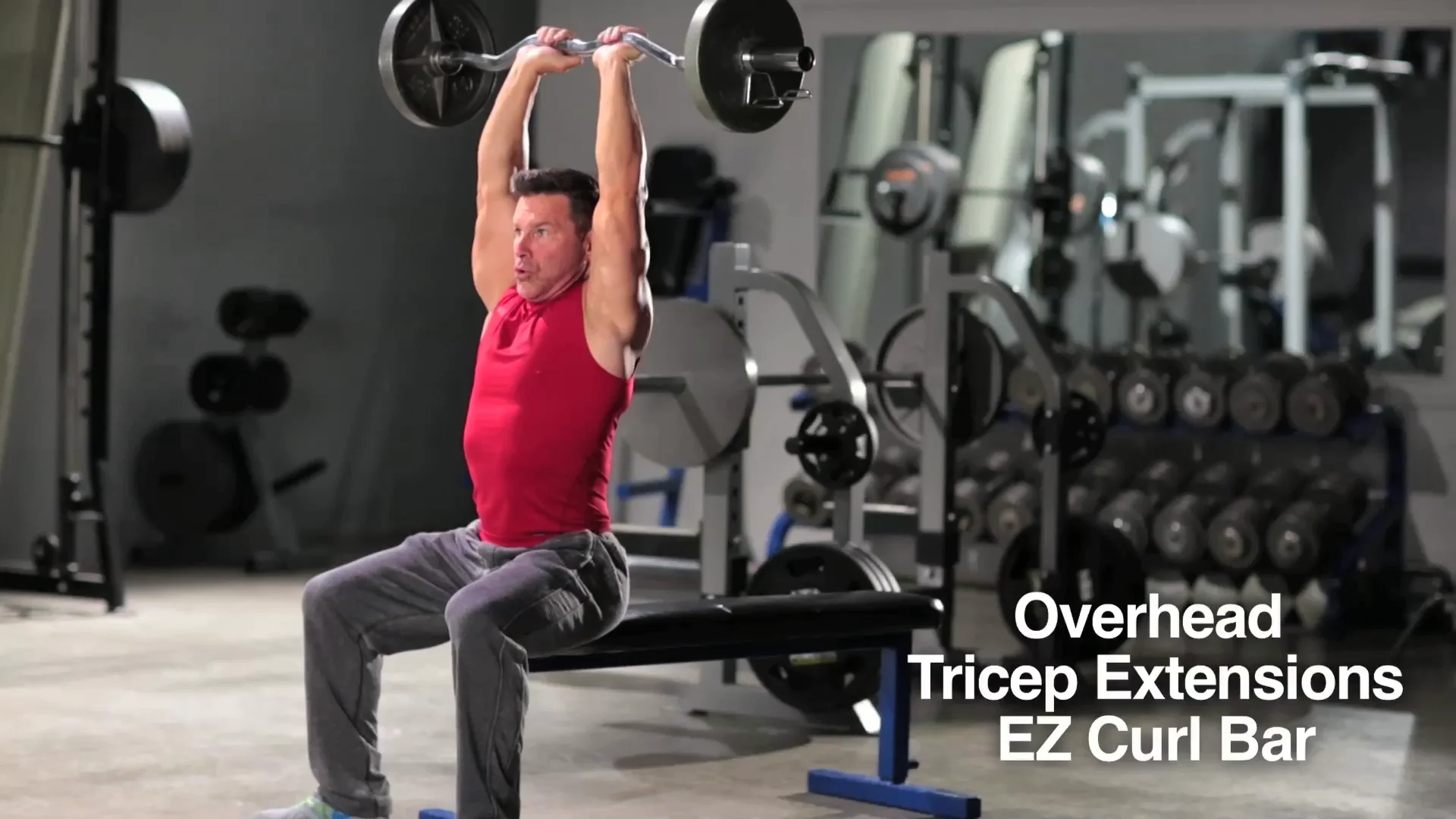 Food Prep Videos - Overhead Triceps Extensions EZ Curl Bar on Vimeo