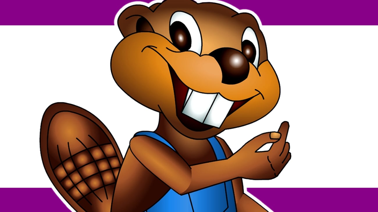 Busy Beavers - Simon Says