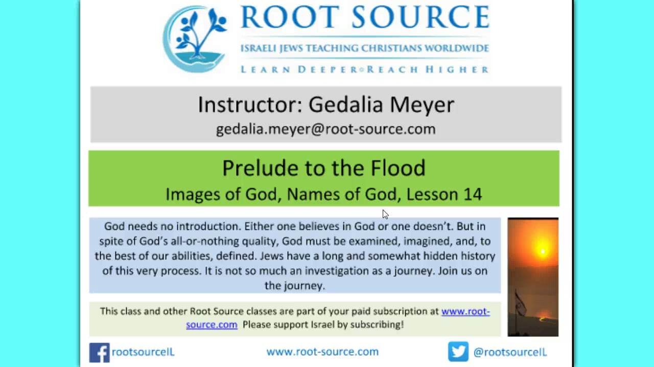 Rabbi Gedalia Meyer | The Flood