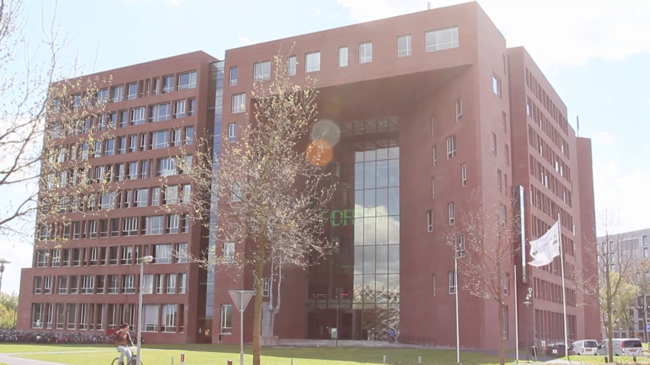 5 jaar WPC