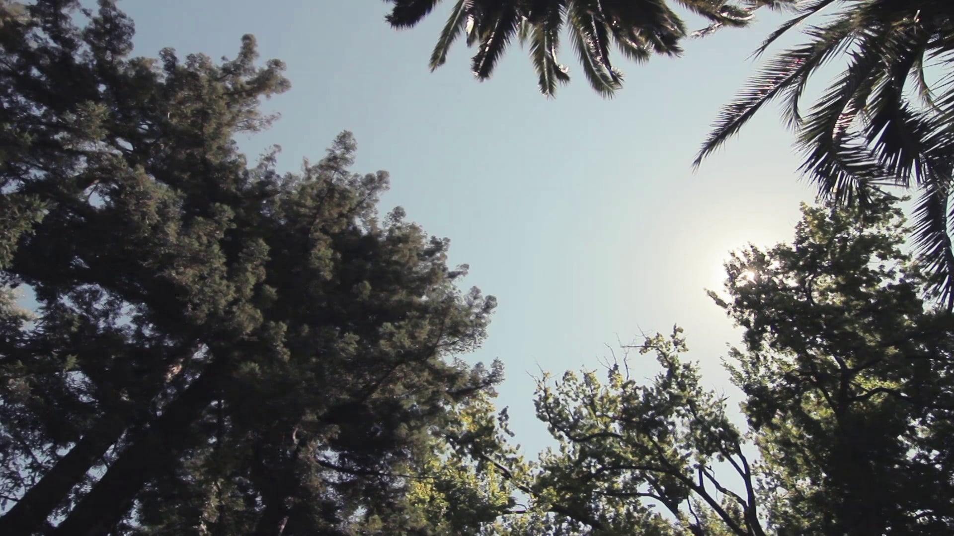 25 on Vimeo