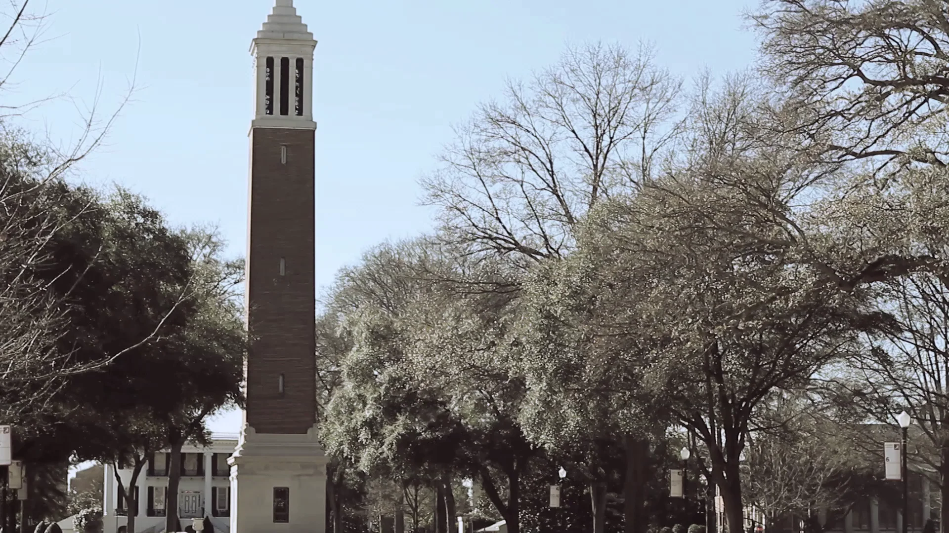 Introducing Margaret Stran on Vimeo