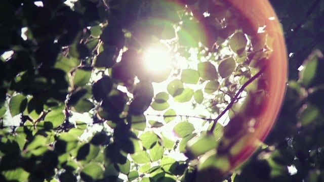 Don't Let Your Head Hang Down