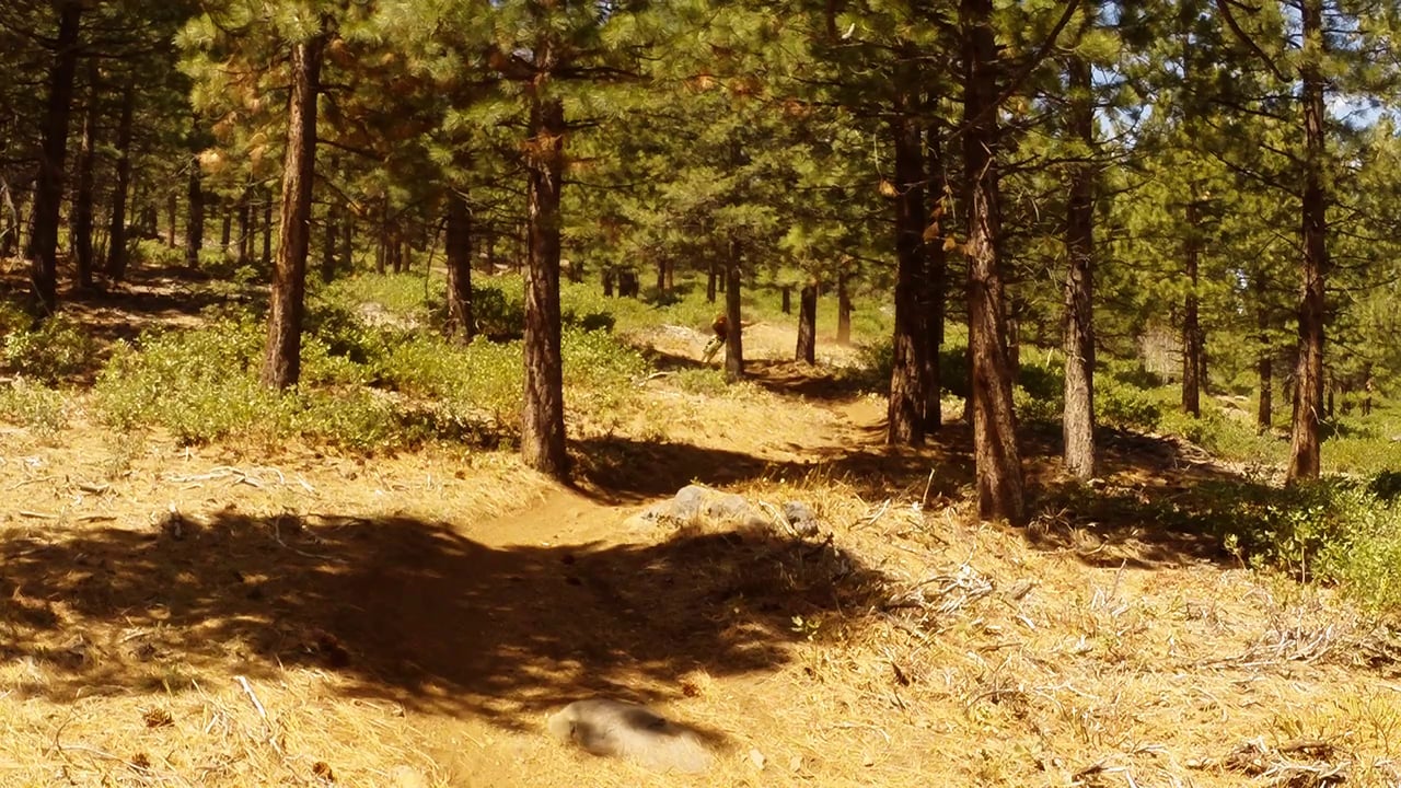 truckee monday