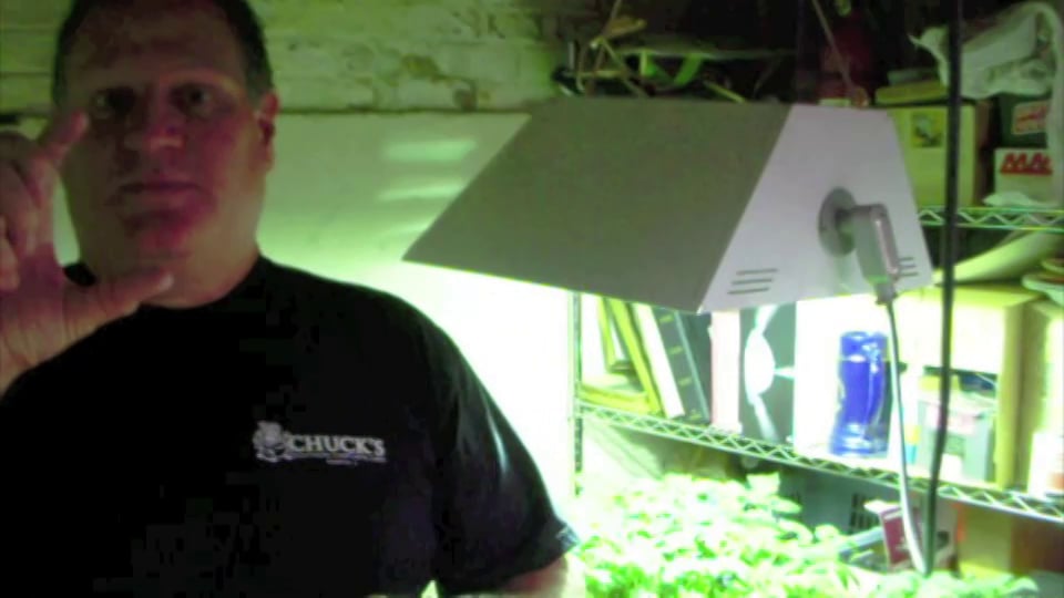 Chuck's Garden Video Part 2 on Vimeo