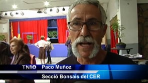 Bonsais fets a casa