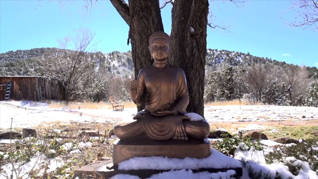 The Heart Sutra: An Online Course Exploring Wisdom Beyond Wisdom