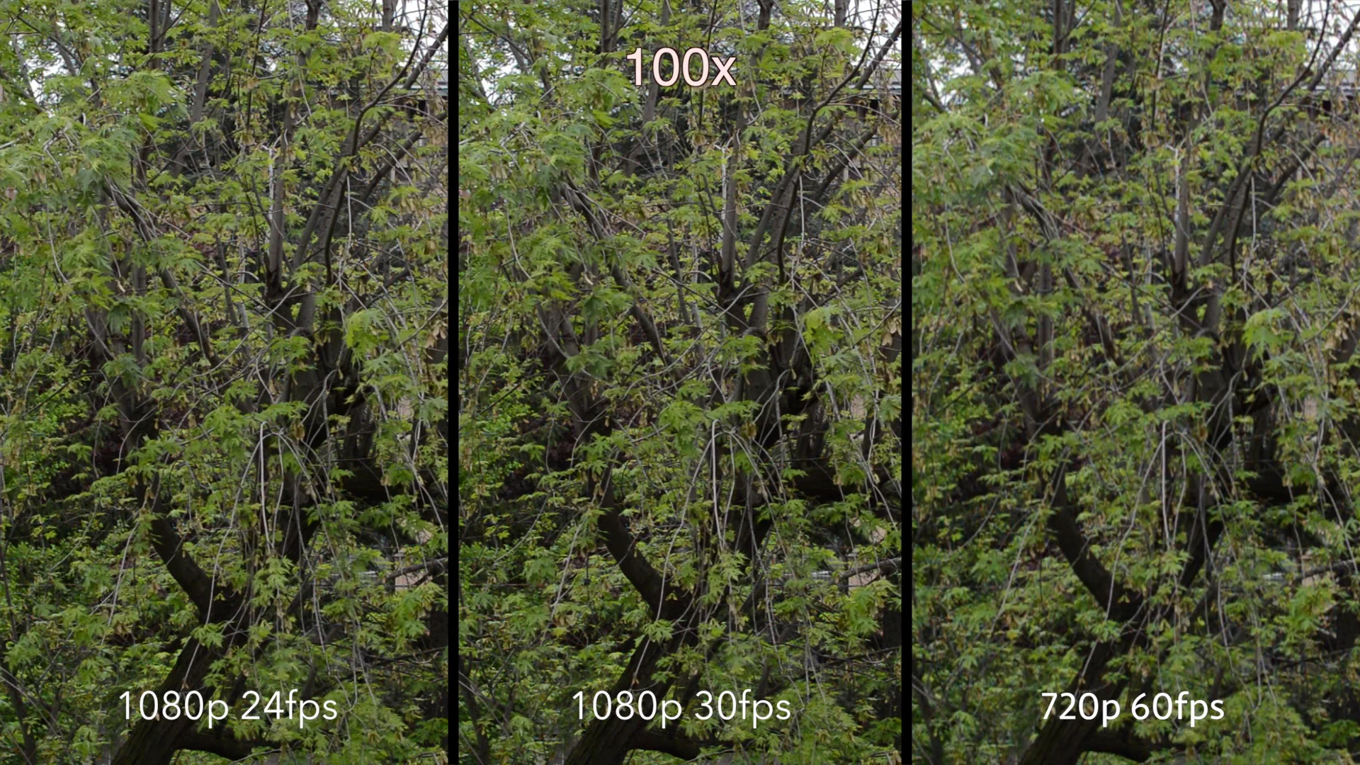 Video quality test Nikon D3200 (24 vs 30 vs 60 fps) on Vimeo