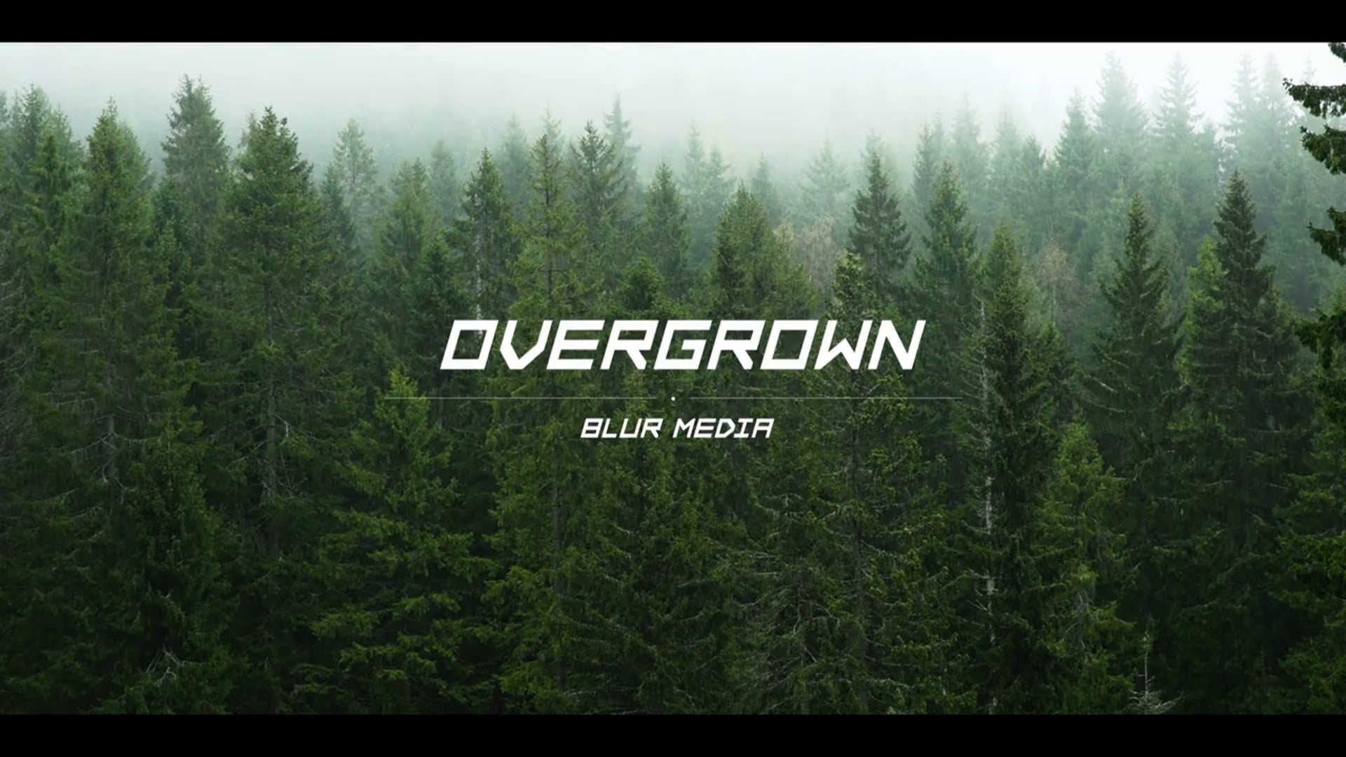 Overgrown | Per Henrik Thorp