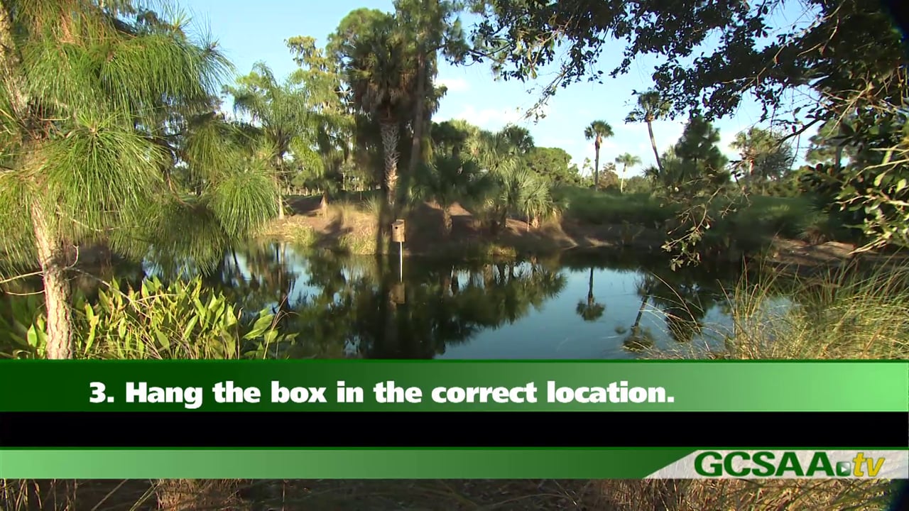 Par 5: Five Steps to Creating a Habitat for the Wood Duck