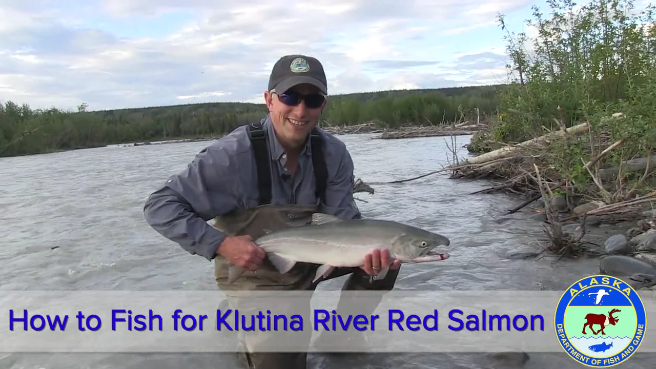 Hooked "in" the Mouth issue put to rest? | Alaska Outdoors Forums