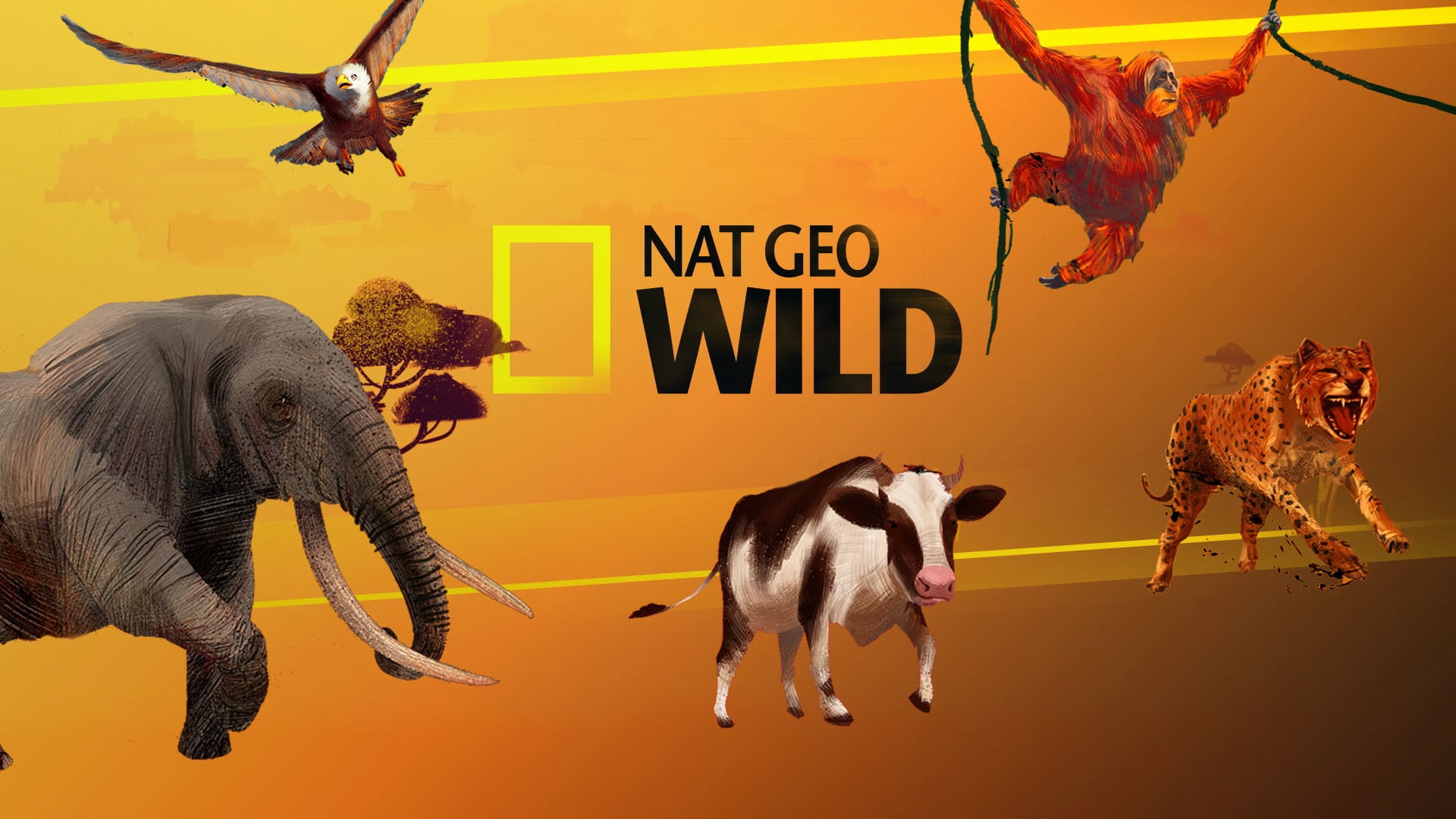 Тв нат гео вайт. Нат Гео вайлд. Nat geo Wild реклама. Нат Гео вайлд заставка. Nat geo Wild Branding.