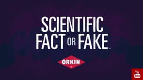Orkin Fact or Fake