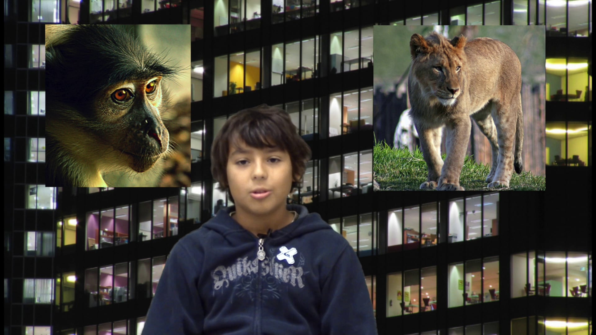 Adam Feit on Vimeo