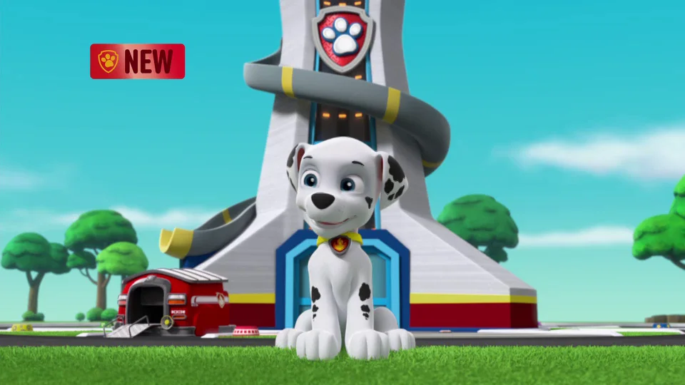 Marshall leaves store the paw patrol