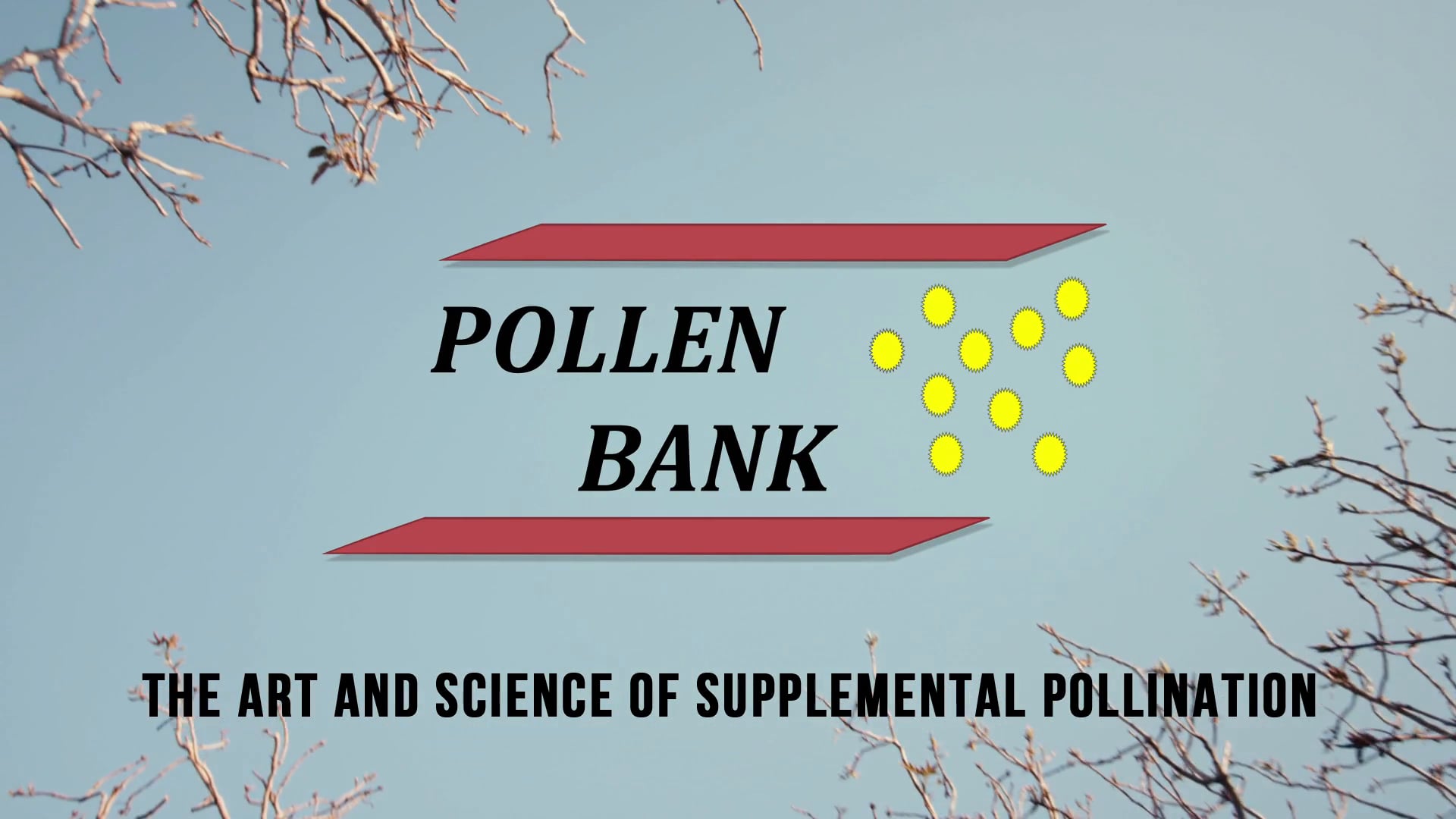Pollen Bank The Art and Science of Supplemental Pollination on Vimeo