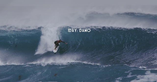 One Day with Damo from Jensen Young Sik