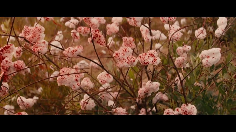 Tarantino: Blood