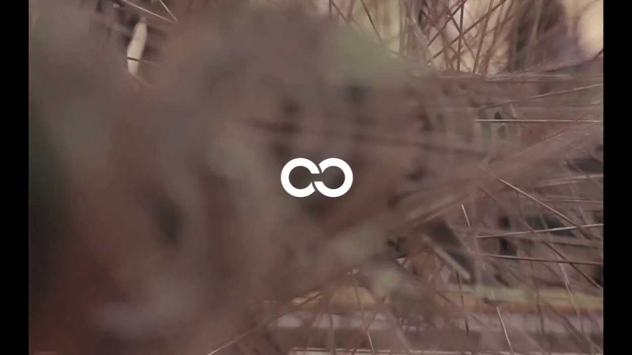 Creme - Holymoly Lady Doppio / 3 Speed, Dynamo - ParkSIDER