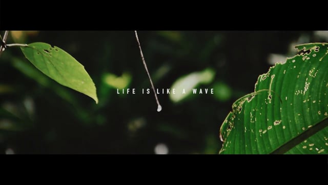 Life is Like a Wave from WHOSAID