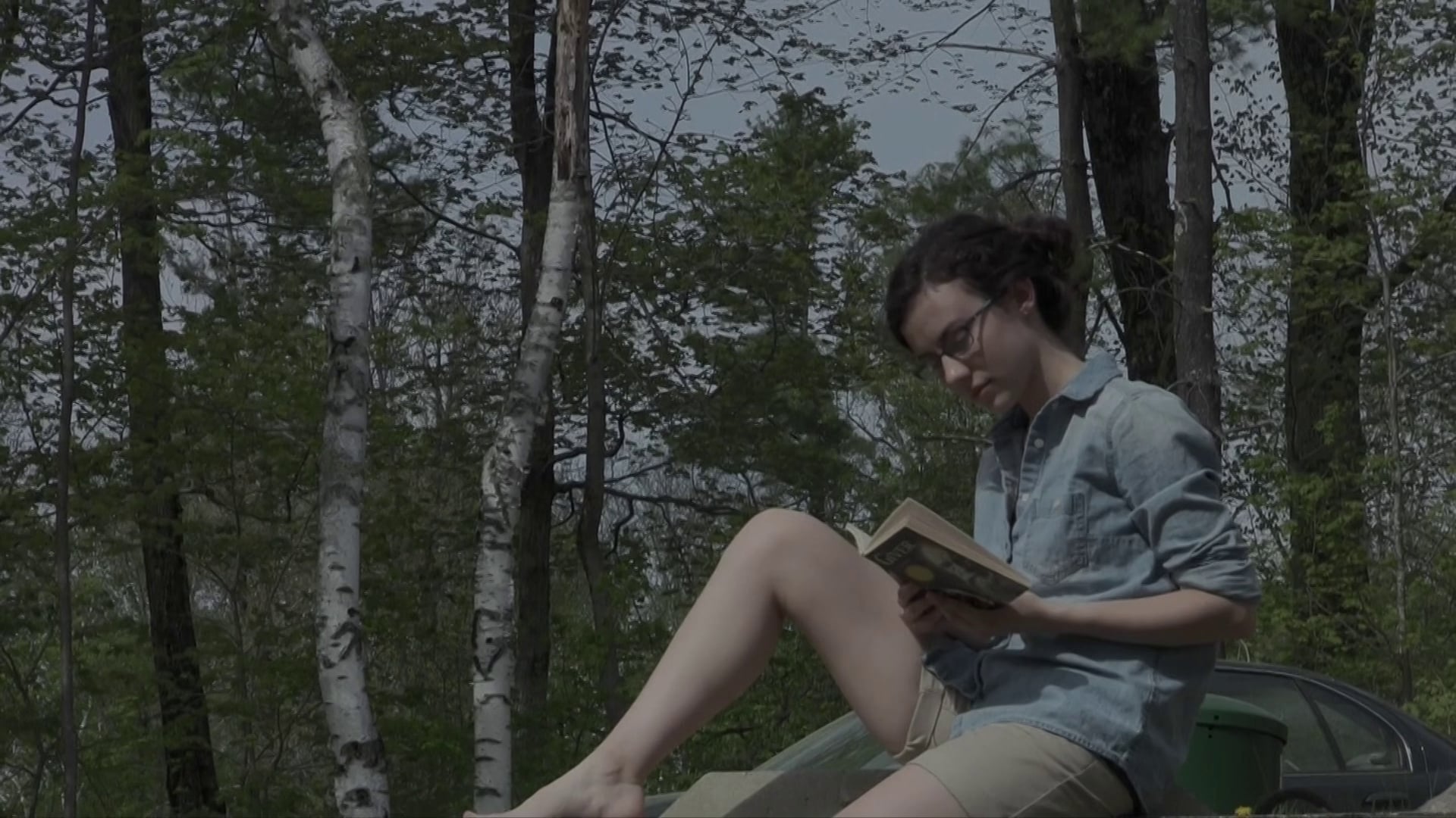 Breezeblocks - Alt-J Fan Video