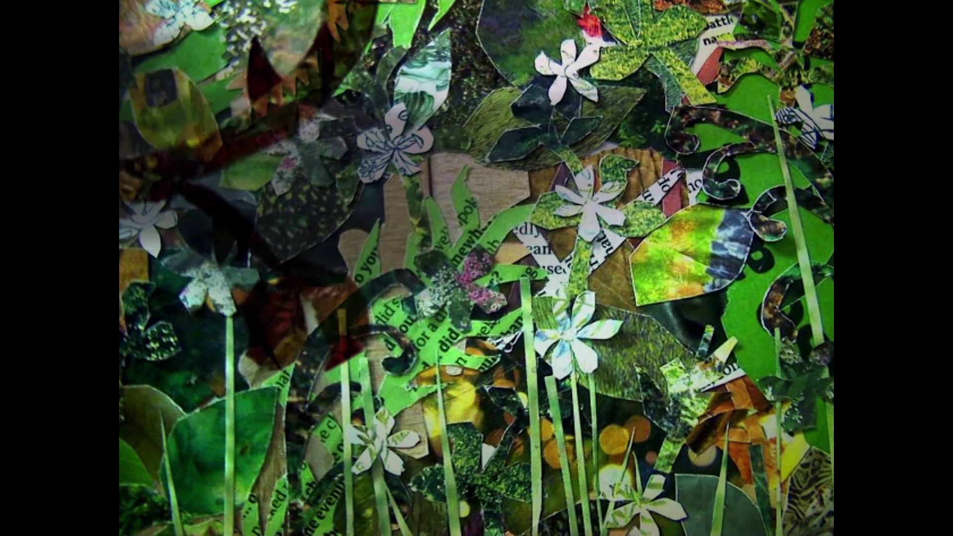The Cornish Wildlife Trust