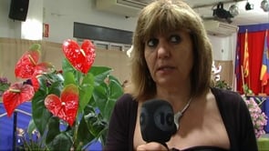 Inaugurada la XXV Exposició de Flors