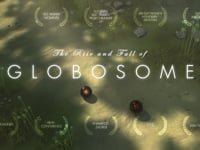 The Rise and Fall of Globosome