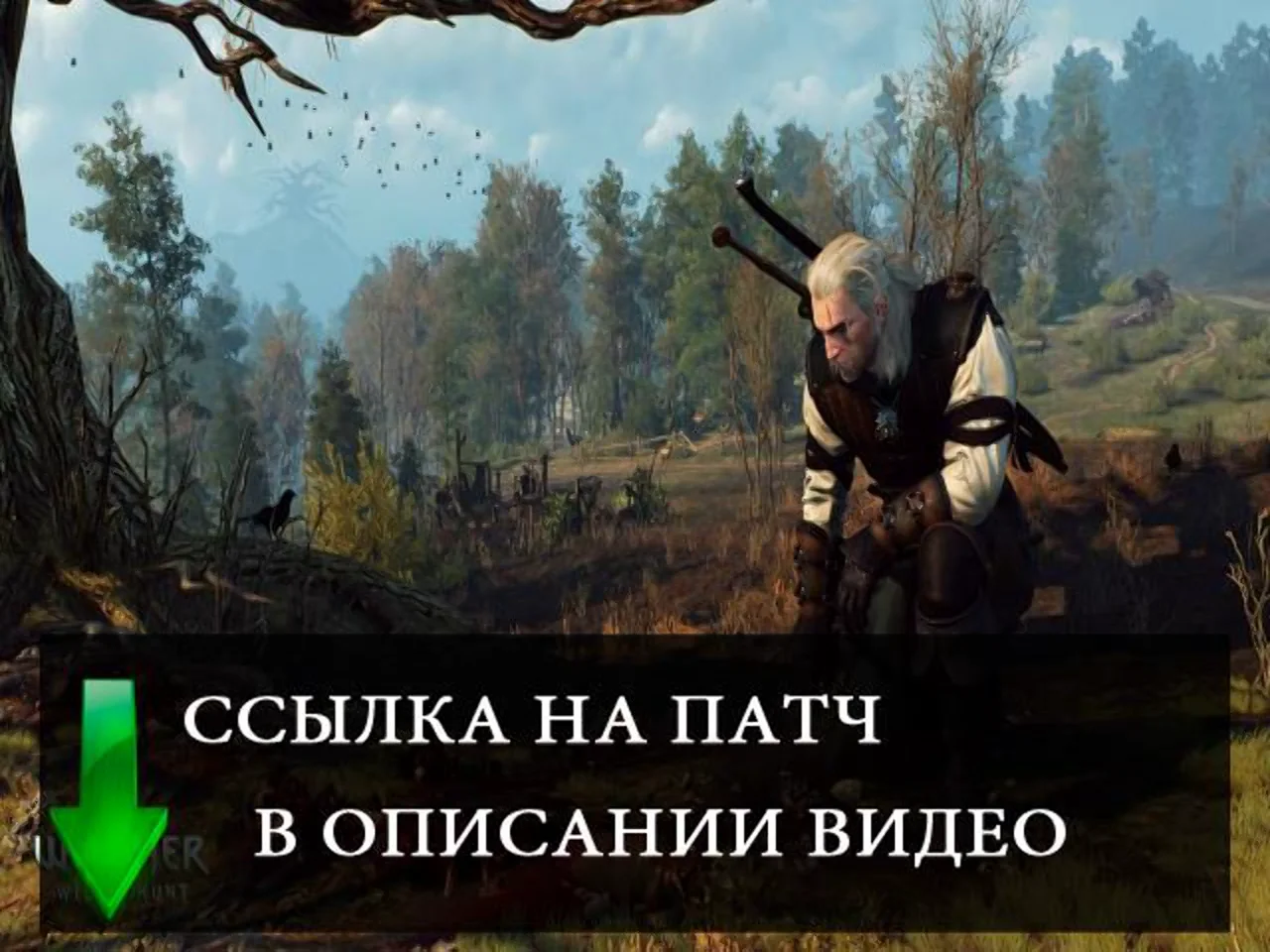 The witcher 3 ошибка unarc dll фото 13