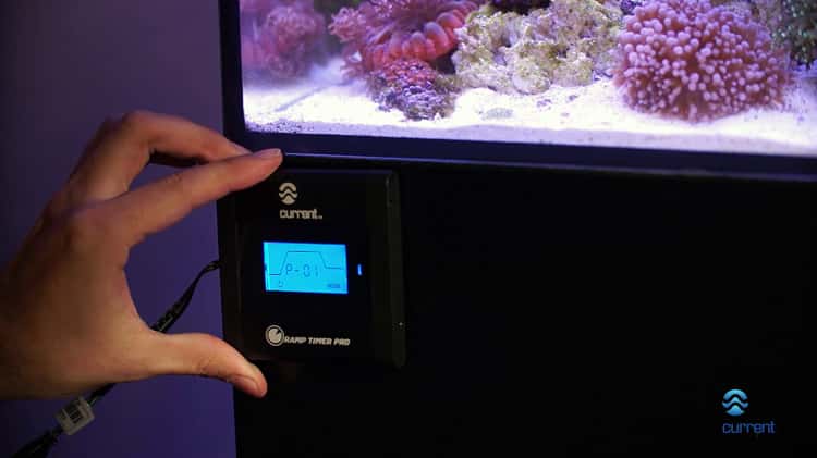 How to Set Up the Orbit Marine LED light on your aquarium