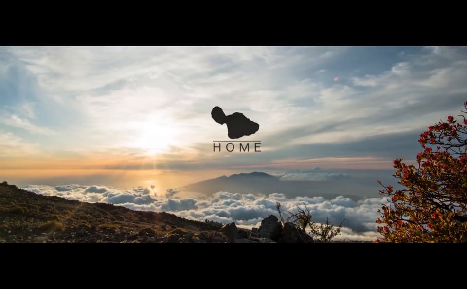 MATT MEOLA - HOME