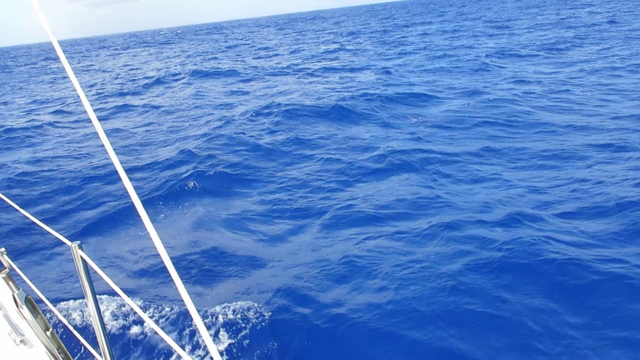 Sailing Wing on Wing to Bermuda