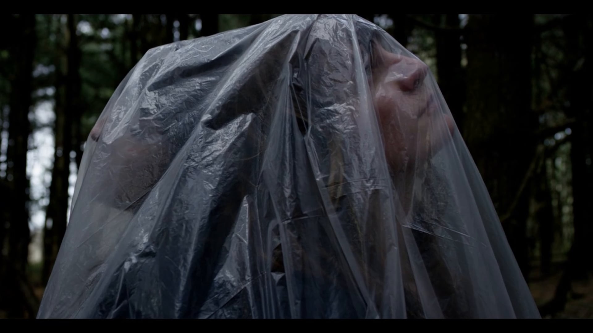 Dear at Dusk, 2015 Senior Thesis Film