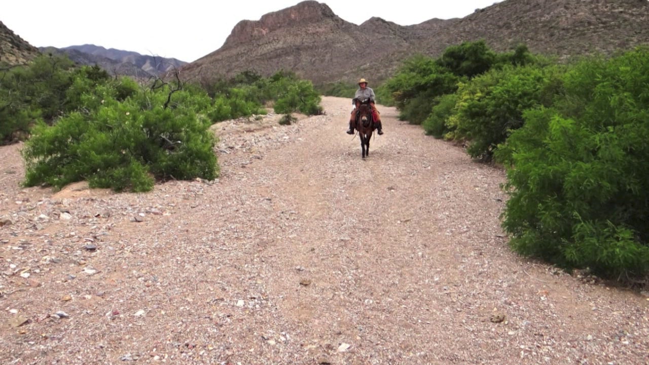 Rodeo Rendezvous on Vimeo
