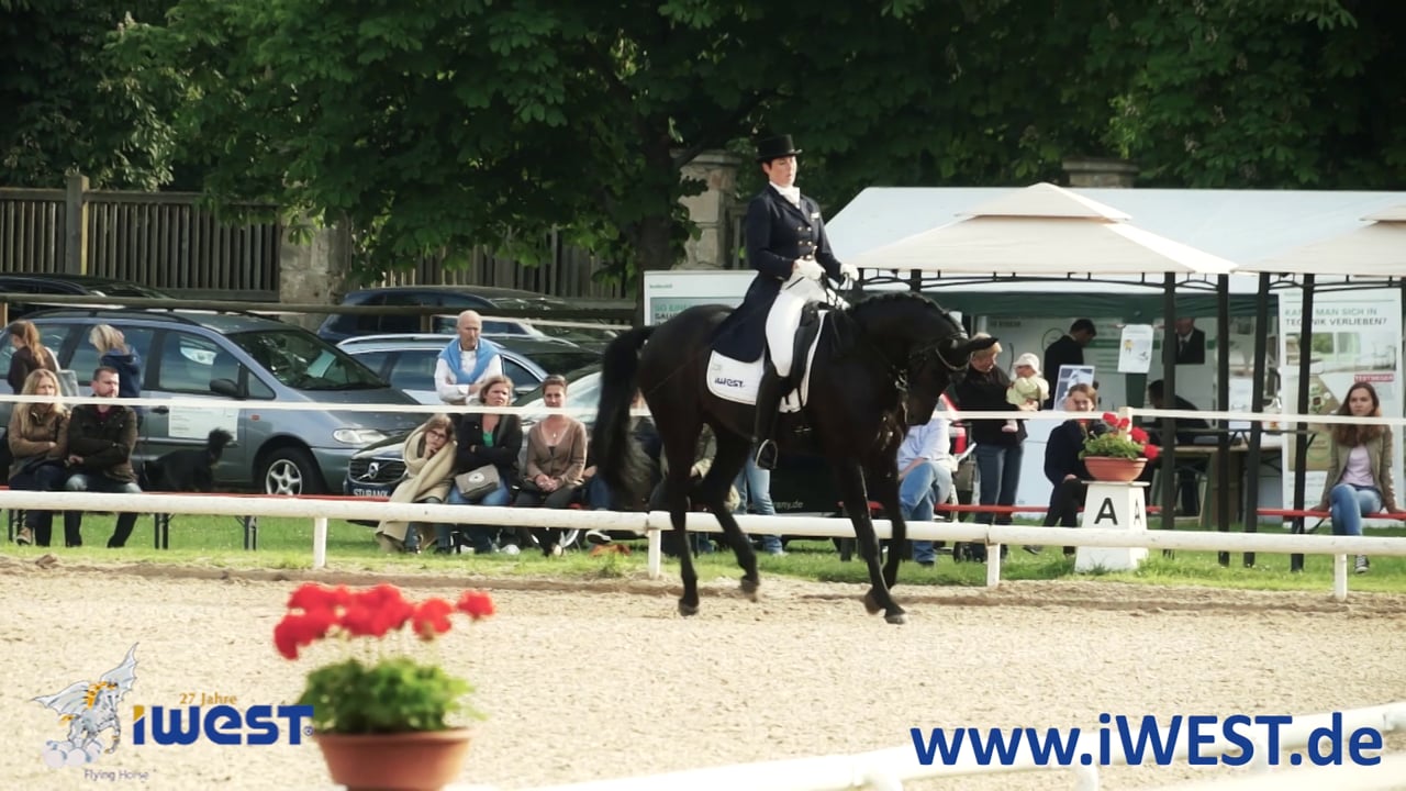 Ludwigsburg iWest- Dressurcup 2015