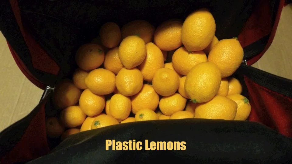 Plastic Lemons on Vimeo