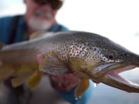 Montana Fishtales