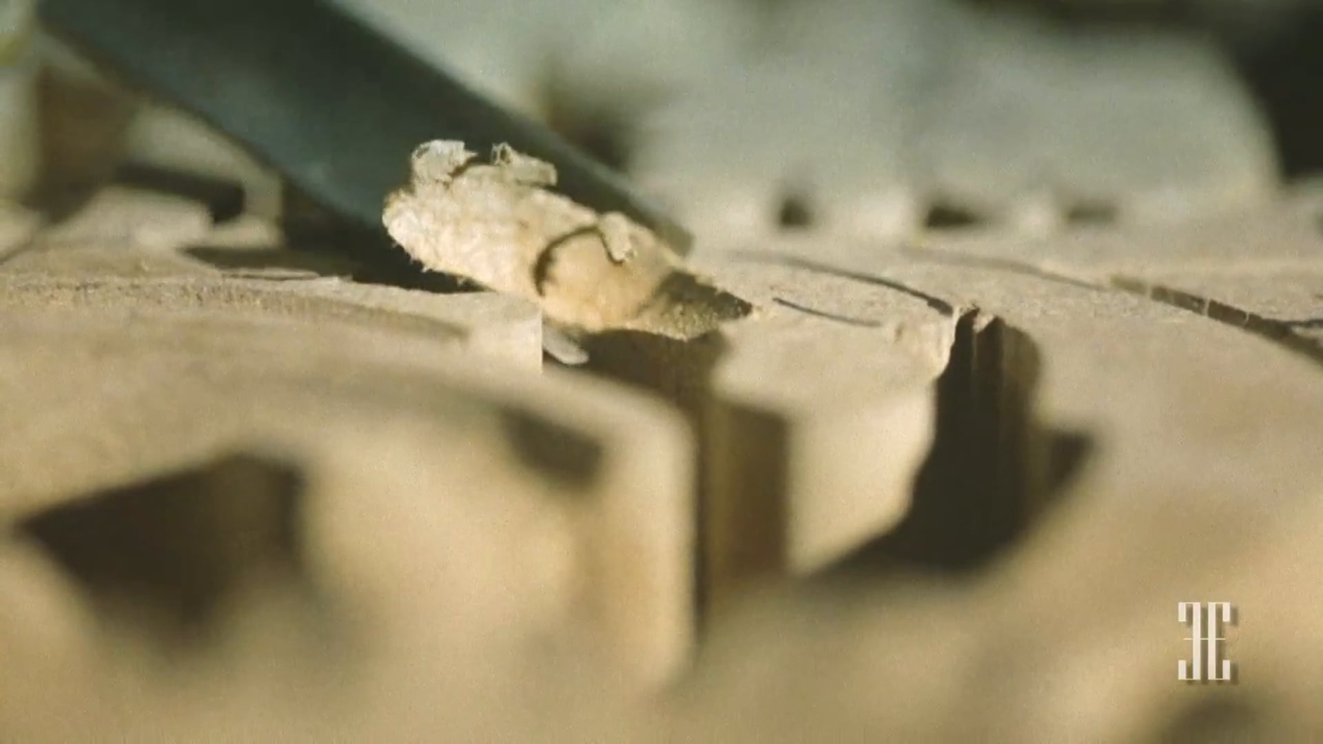 Royal Affair Dining Chair by LA SOROGEEKA