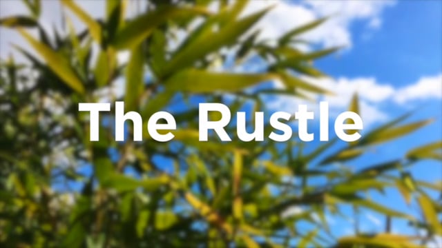 The Rustle