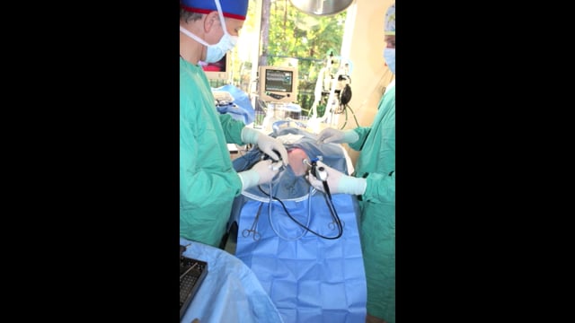 Laparoscopic Cholecystectomy for gall bladder mucocele in a dog