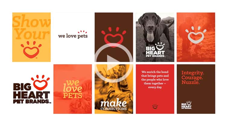 big heart pet brands video case study