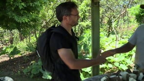 Les chasseurs de fruits