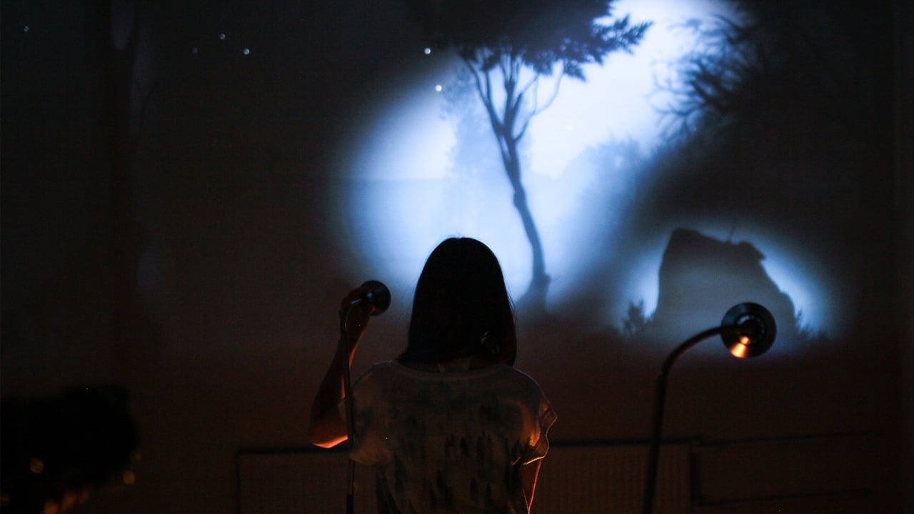 Screenshot of VLES light installation