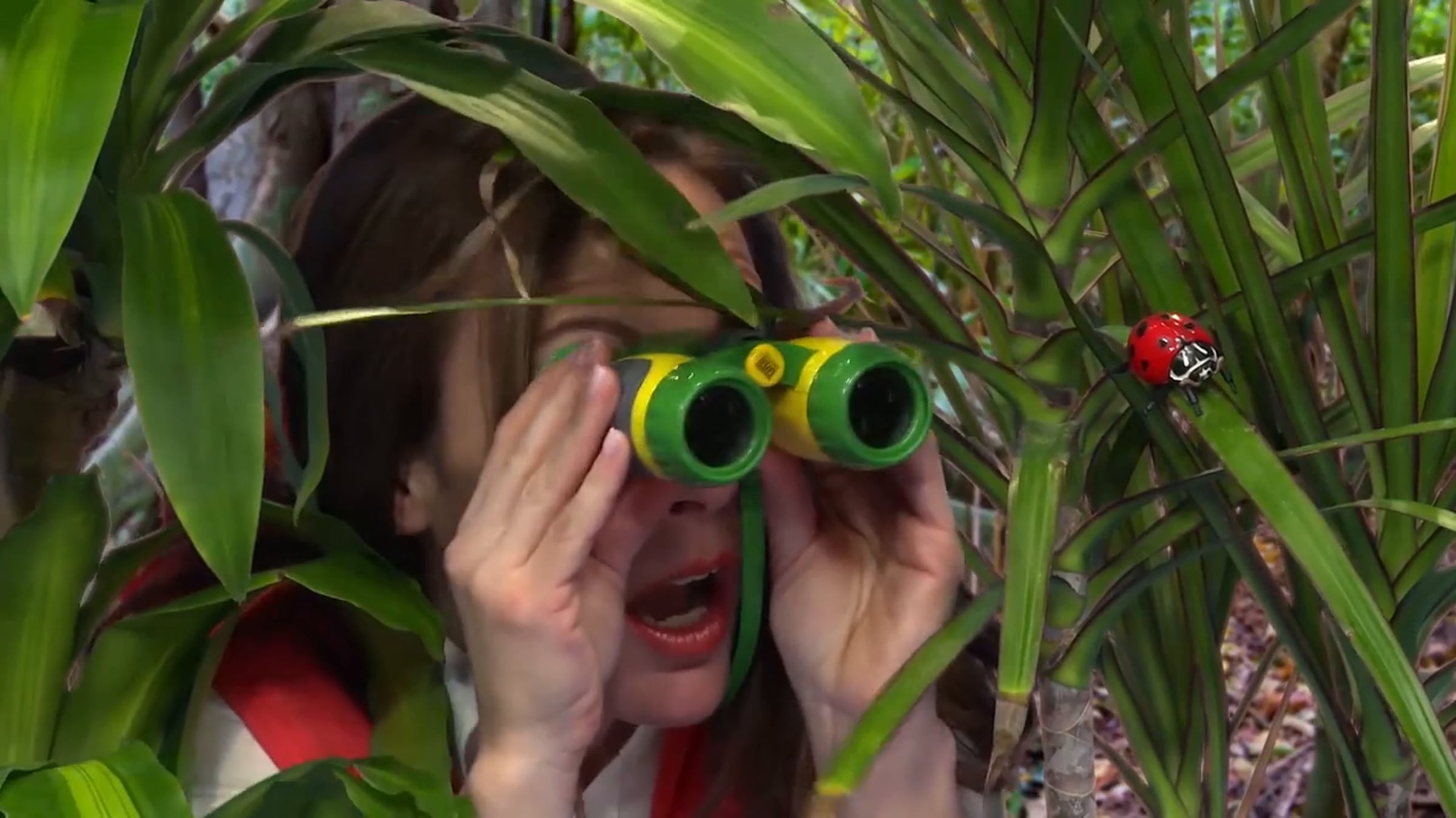 TreeSchoolers Ep. 3 Clip: We'll Find You Bugs | Videos & Movies on Vimeo