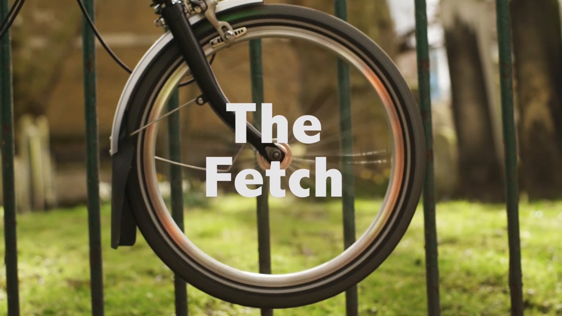 Short-film:  THE FETCH. Trailer