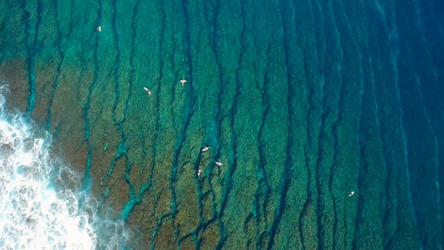 Mentawai Surf Trip from Justin McMillan