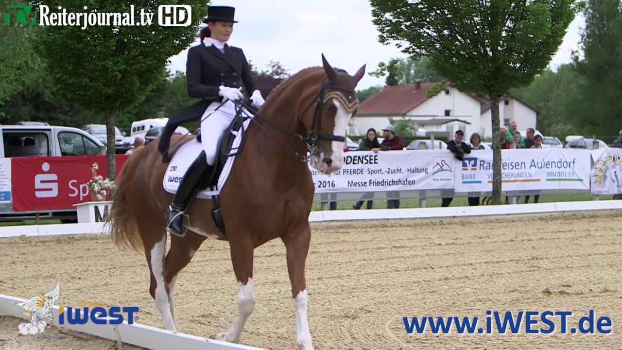 iWEST Dressur Cup 2015, Station Aulendorf - www.iWEST.de