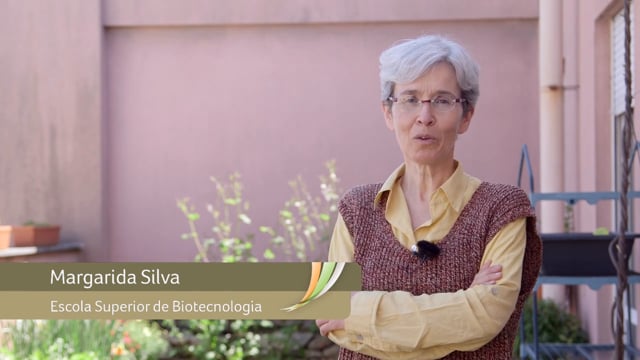 Margarida Silva - Percepções e razões quanto aos alimentos geneticamente modificados